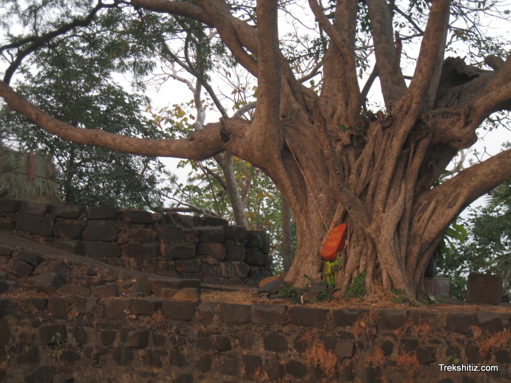 Vajragad (Vasai)